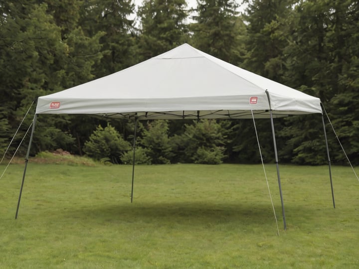Coleman-13X13-Canopy-Sidewalls-2