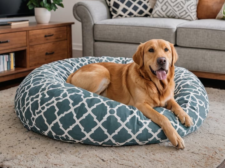 Dog-Beds-For-Large-Dogs-5