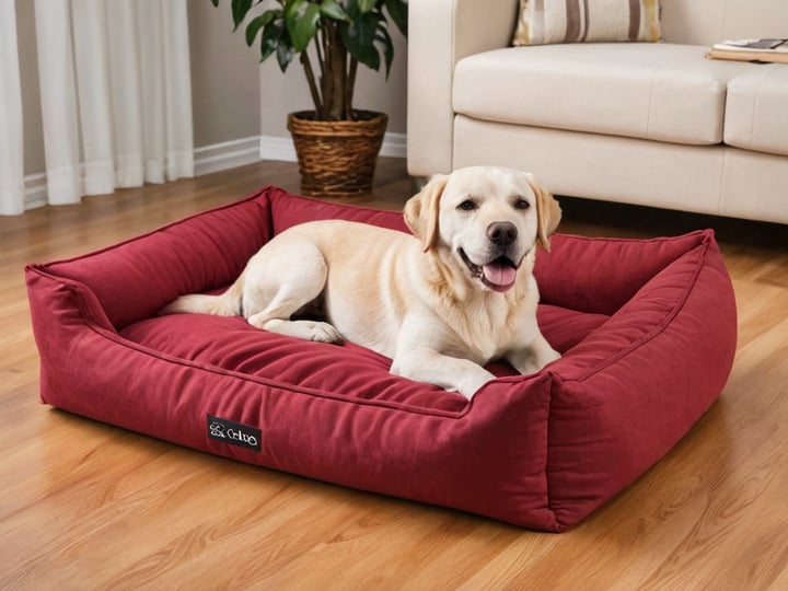Dog-Beds-With-Zipper-Covers-5