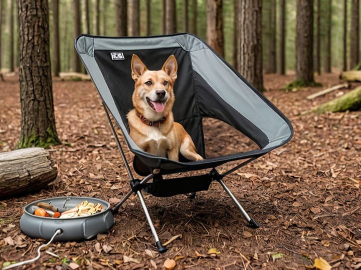 Dog-Camping-Chair-6