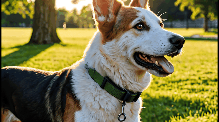 Our detailed review examines the most effective dog training collars, comparing their comfort, durability, and training capabilities to help you choose the right one for your pet.