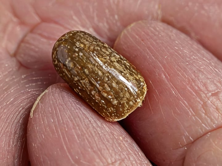 Dog-Nail-Bed-Yeast-Infection-2
