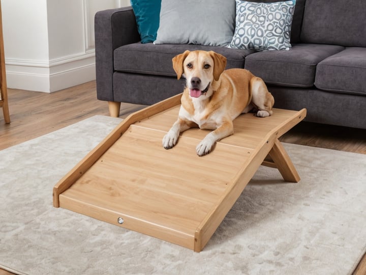 Dog-Ramps-For-Beds-6