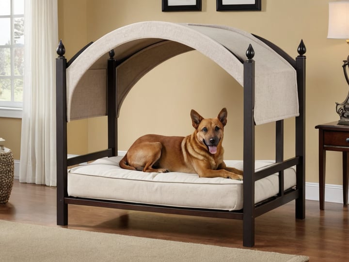Elevated-Dog-Bed-With-Canopy-3