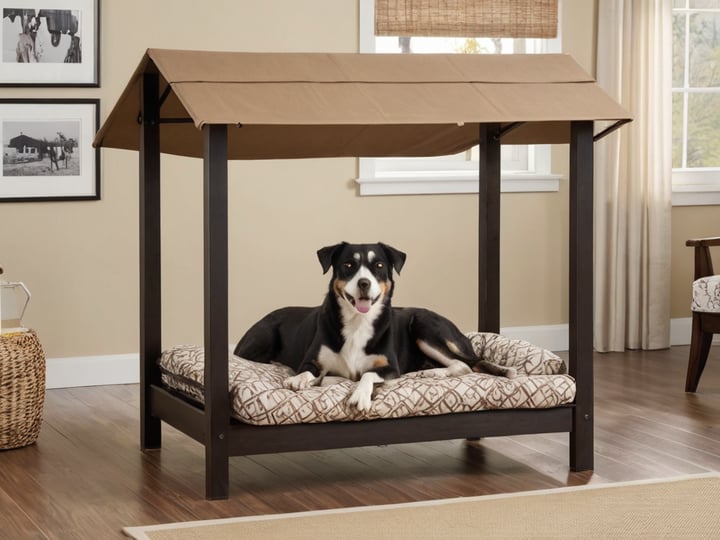Elevated-Dog-Bed-With-Canopy-5