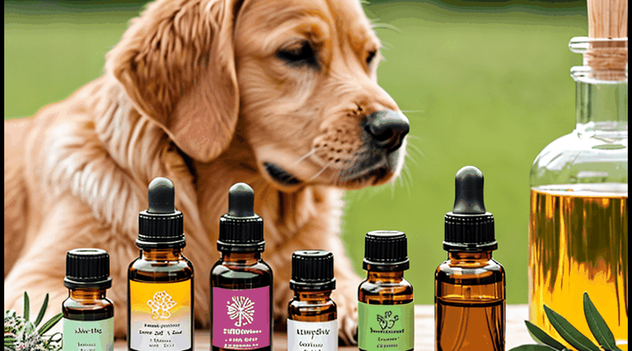 This roundup reviews the best essential oils for dog anxiety, comparing their effectiveness, safety, and application methods to help pet owners find the right solution for their anxious canine companion.