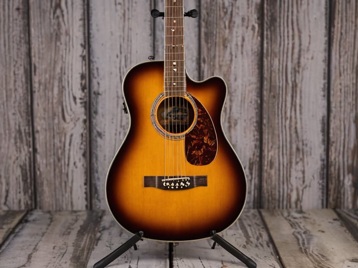Fender-Acoustic-Electric-Guitar-2