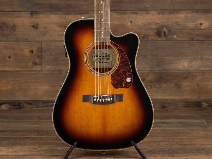 Fender-Acoustic-Electric-Guitar-5