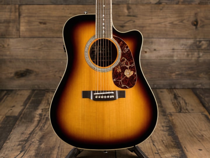Fender-Acoustic-Electric-Guitar-6
