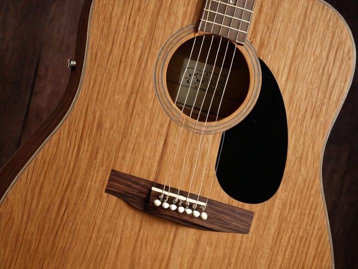 Fender-Acoustic-Guitar-5