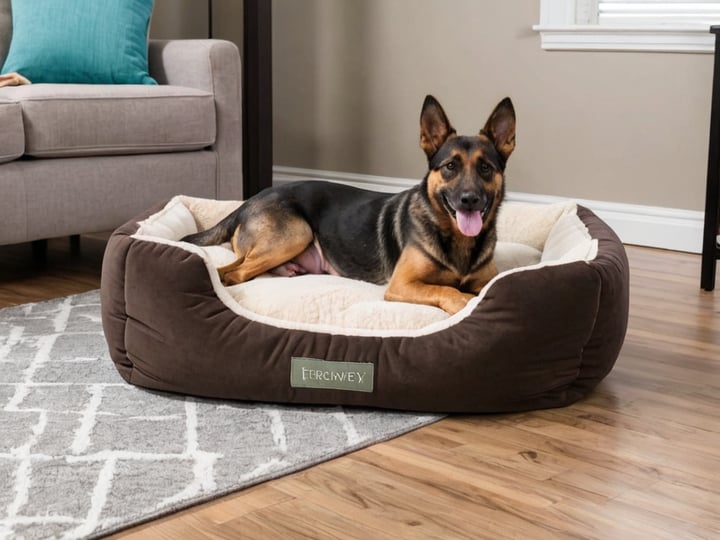 Furhaven-Dog-Bed-3