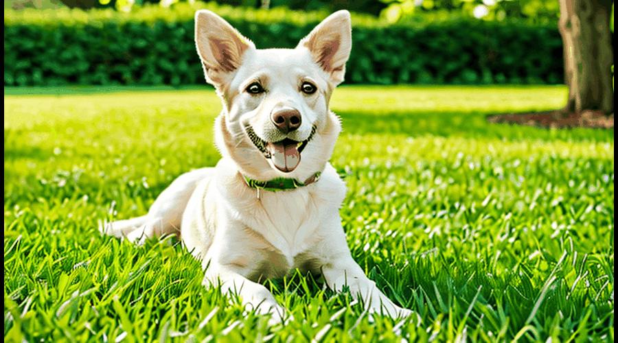 A grass patch specifically designed for dogs to enjoy, featuring durable construction and various size options to fit any backyard.