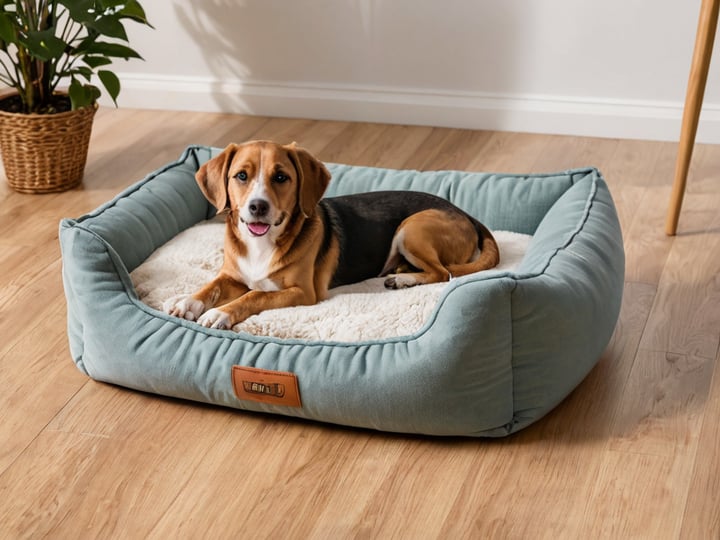 Heart-To-Tail-Dog-Bed-5