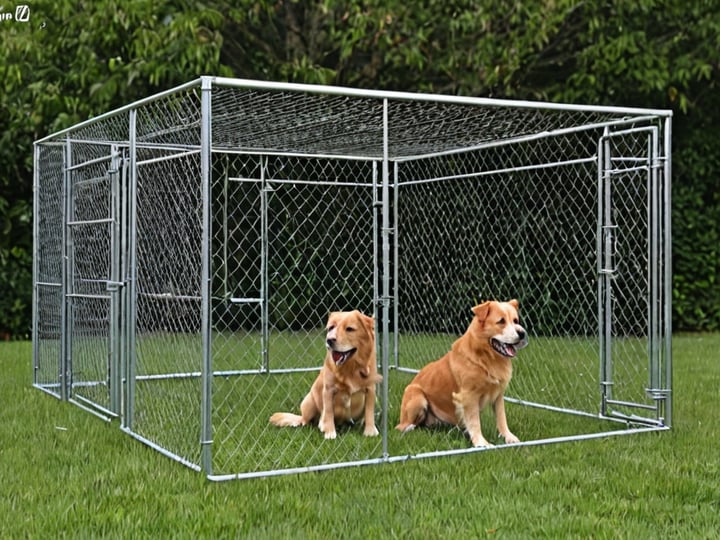 Metal-Kennels-For-Dogs-3