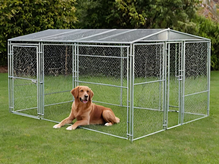Metal-Kennels-For-Dogs-5