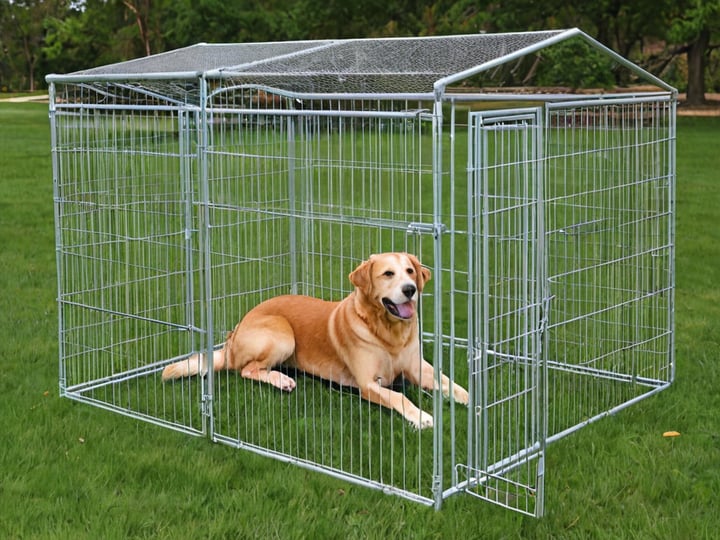 Metal-Kennels-For-Dogs-6