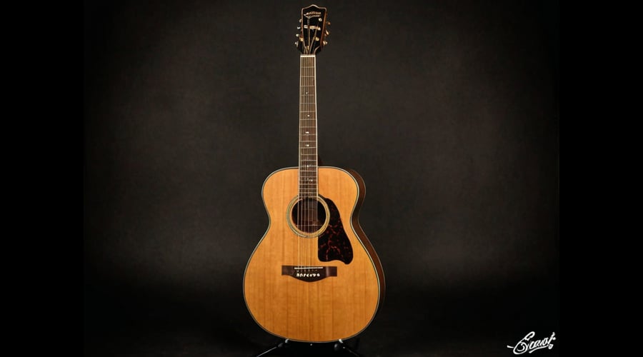 Find your perfect Oscar Schmidt guitar with our detailed comparison of their most popular models, featuring curated reviews and essential buying guidance.