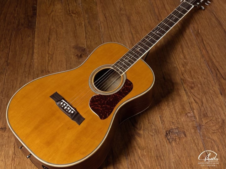 Oscar-Schmidt-Guitar-4