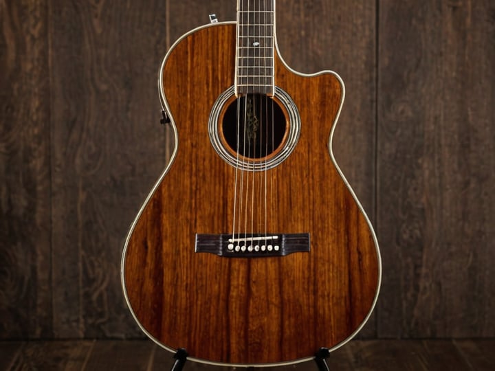 Oscar-Schmidt-Guitar-5