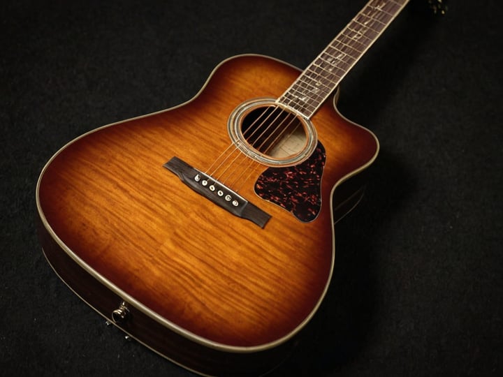 Oscar-Schmidt-Guitar-6