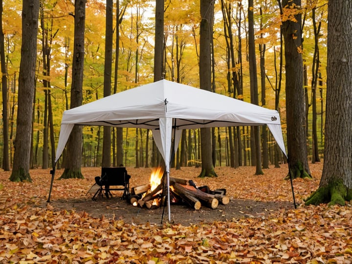 Ozark-Trail-10X10-Straight-Leg-Canopy-3