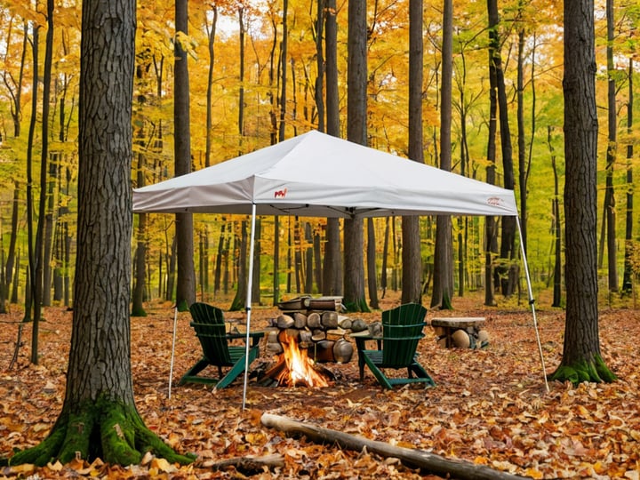 Ozark-Trail-10X10-Straight-Leg-Canopy-4