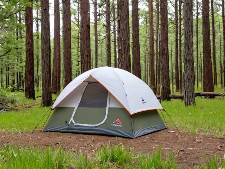Ozark-Trail-3-Dome-Connection-Tent-2
