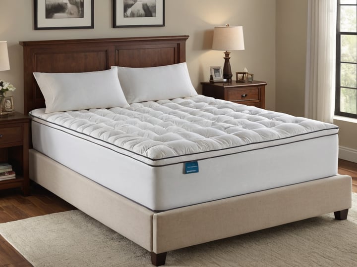 Queen-Mattress-Topper-5