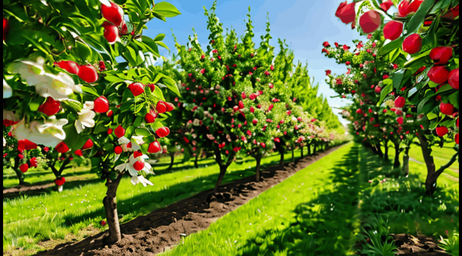 This comprehensive guide reviews the Stella Rosa Stella Berry collection, highlighting the top wines and comparing their taste profiles and value.