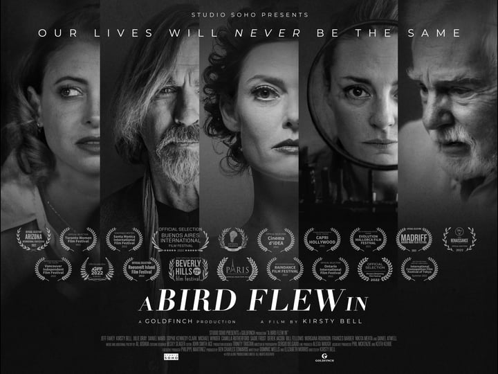 a-bird-flew-in-4462545-1