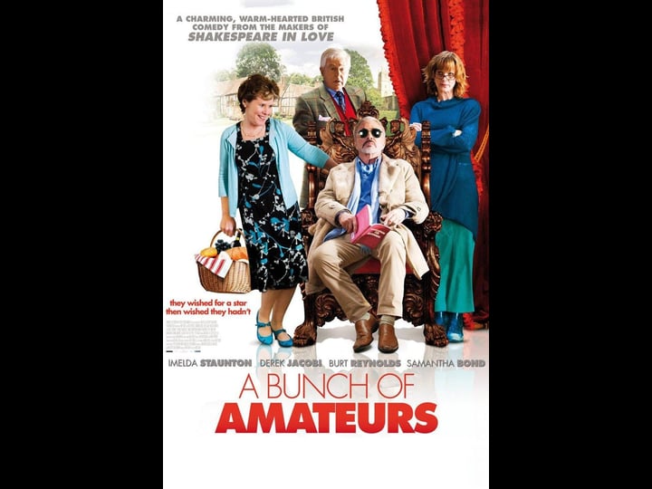 a-bunch-of-amateurs-tt1171226-1
