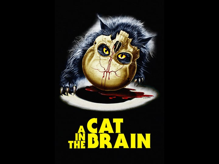 a-cat-in-the-brain-4524670-1