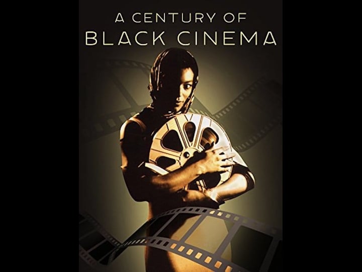 a-century-of-black-cinema-tt1381270-1