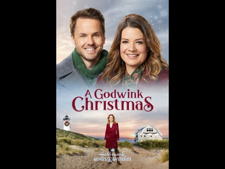 a-christmas-coincidence-4317613-1