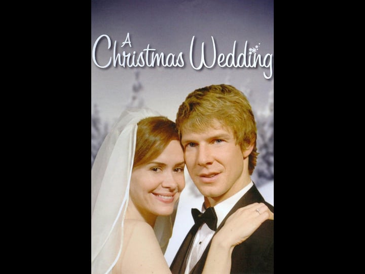 a-christmas-wedding-tt0486292-1