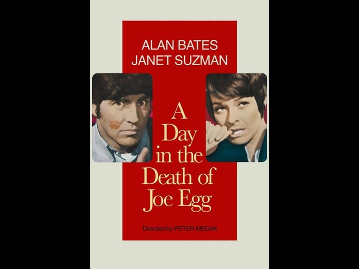 a-day-in-the-death-of-joe-egg-1007009-1