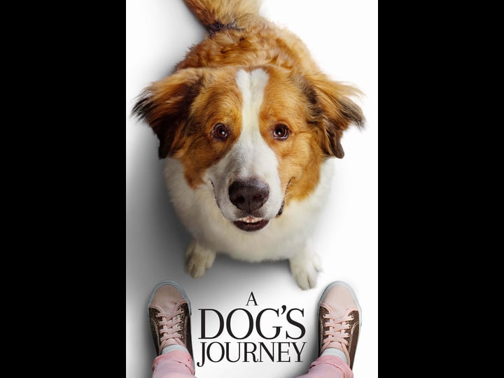 a-dogs-journey-tt8385474-1