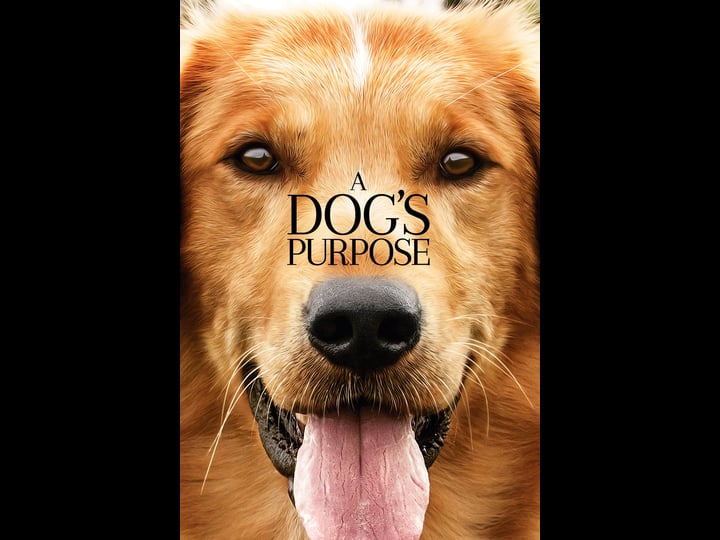 a-dogs-purpose-tt1753383-1