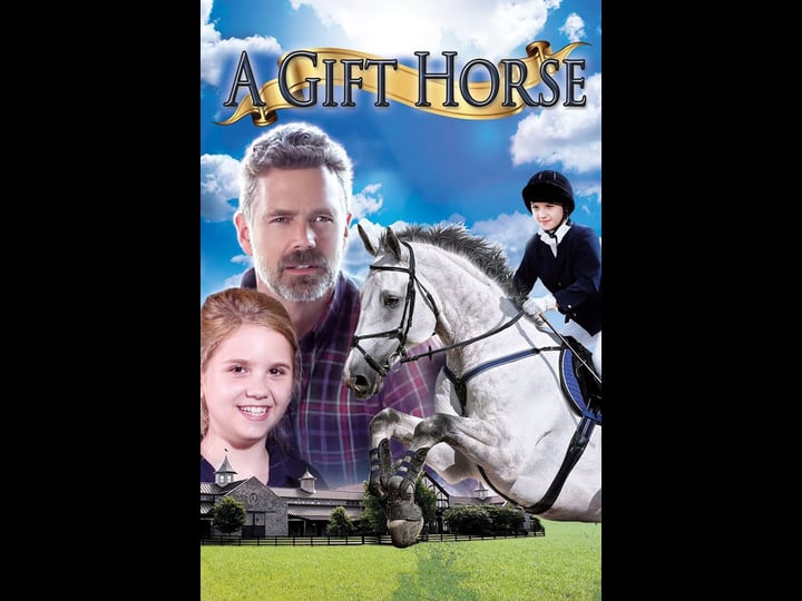 a-gift-horse-1346513-1