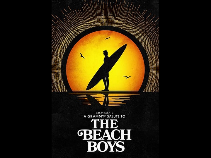 a-grammy-salute-to-the-beach-boys-4344876-1