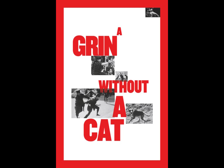 a-grin-without-a-cat-tt0076042-1
