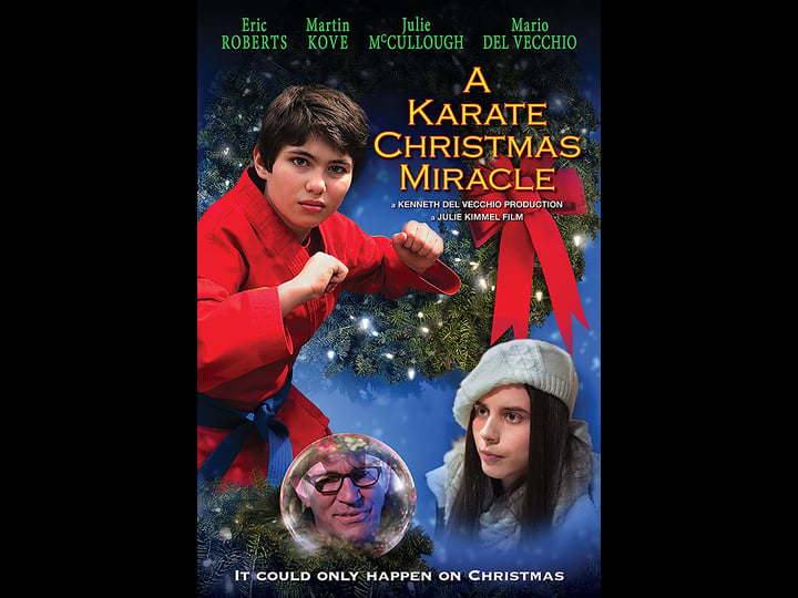 a-karate-christmas-miracle-tt9683542-1