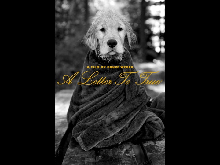 a-letter-to-true-tt0401581-1