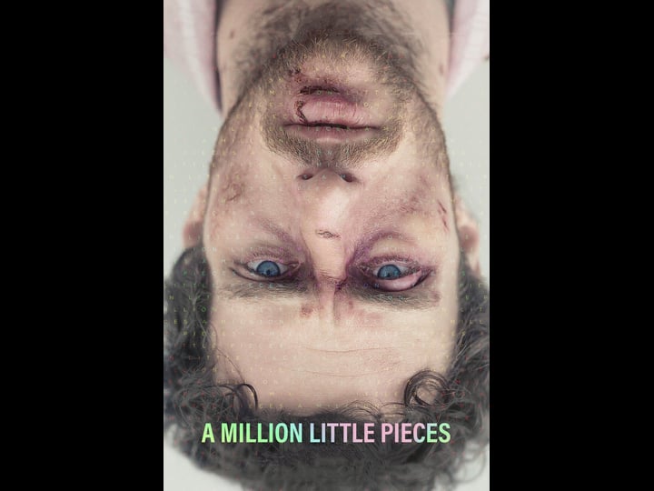 a-million-little-pieces-tt0427543-1