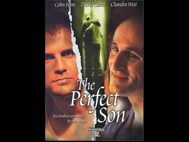 a-perfect-son-4317633-1