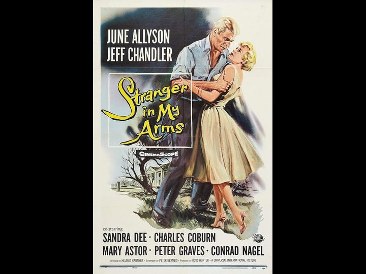 a-stranger-in-my-arms-4308776-1