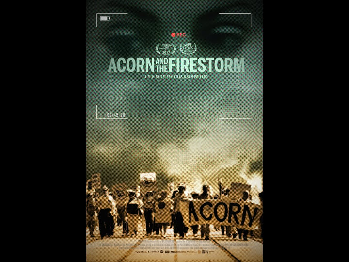 acorn-and-the-firestorm-tt5957104-1