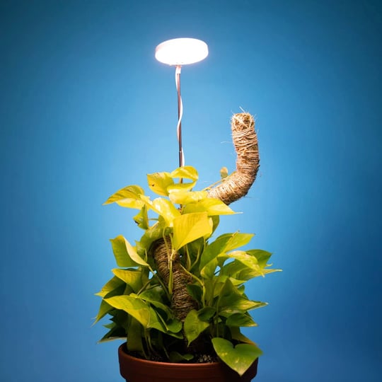 adjustable-height-auto-timed-grow-light-indoor-gardening-1