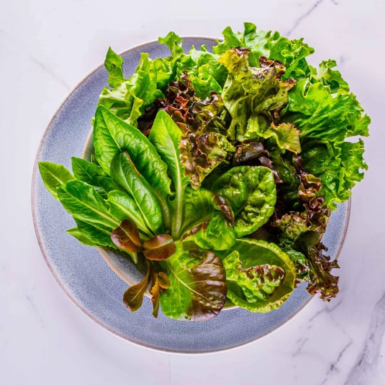 aerogarden-heirloom-salad-greens-seed-pod-kit-1