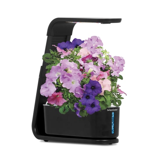 aerogarden-sprout-black-1